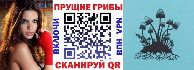 Галлюциногенные грибы MAGIC MUSHROOMS  Микунь 
